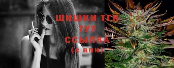 Альфа ПВП Кукмор