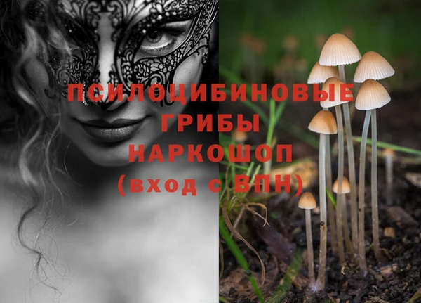 Альфа ПВП Кукмор