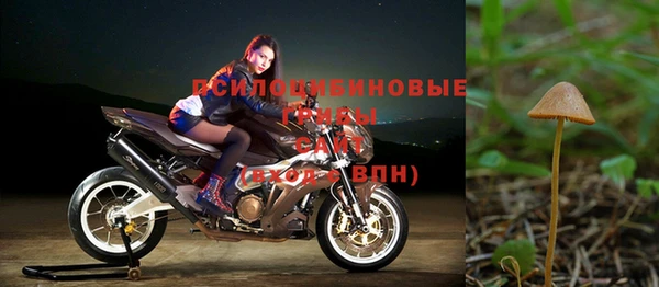 дурь Куйбышев