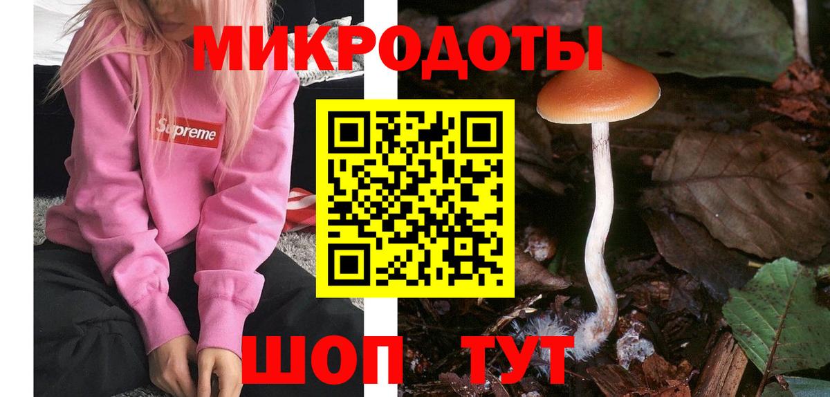 Псилоцибиновые грибы MAGIC MUSHROOMS  Вход с VPN  Чернушка 