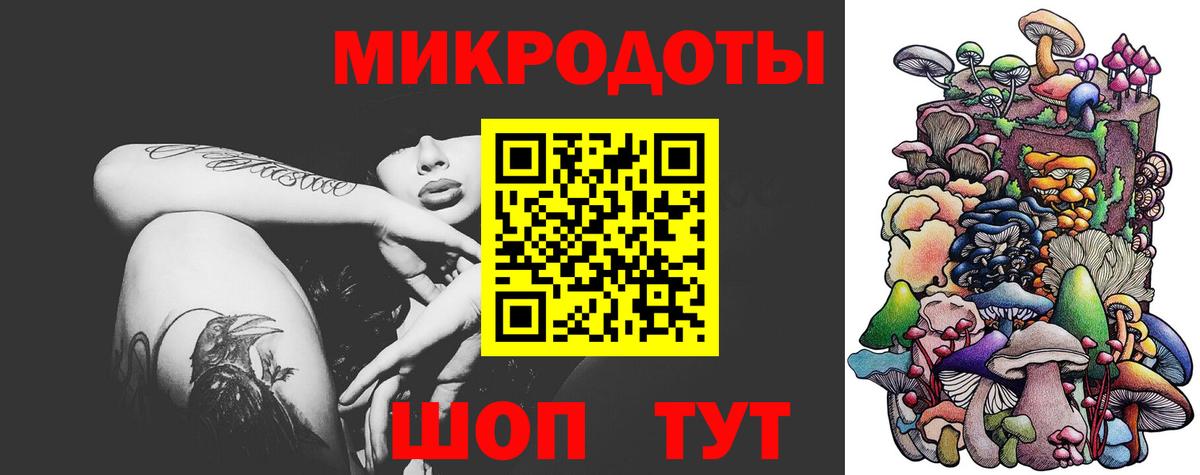 Псилоцибиновые грибы MAGIC MUSHROOMS  Чернушка  Галлюциногенные грибы MAGIC MUSHROOMS 
